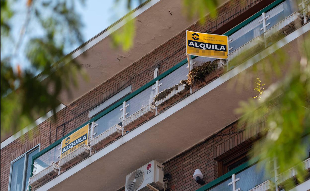 subida alquiler Sanchis asesores
